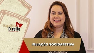 Explica Direito Filiação Socioafetiva  2019 [upl. by Ashmead]