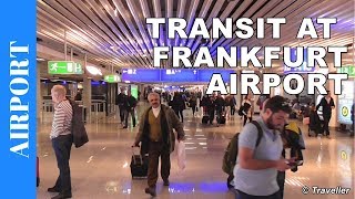 TRANSIT WALK AT FRANKFURT Airport FRA Terminal 1  Connection Flight Transfer Arriving amp Departing [upl. by Woo]